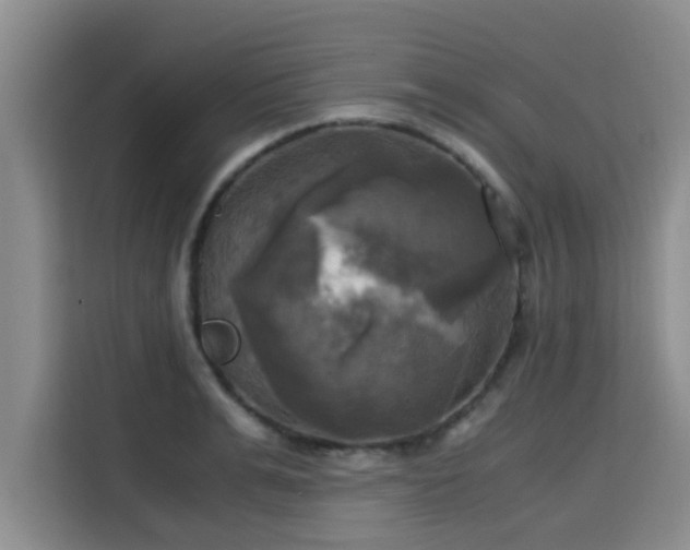 X0000115660991200911191001