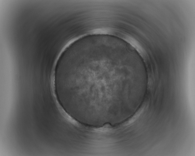 X0000115660992200911191001