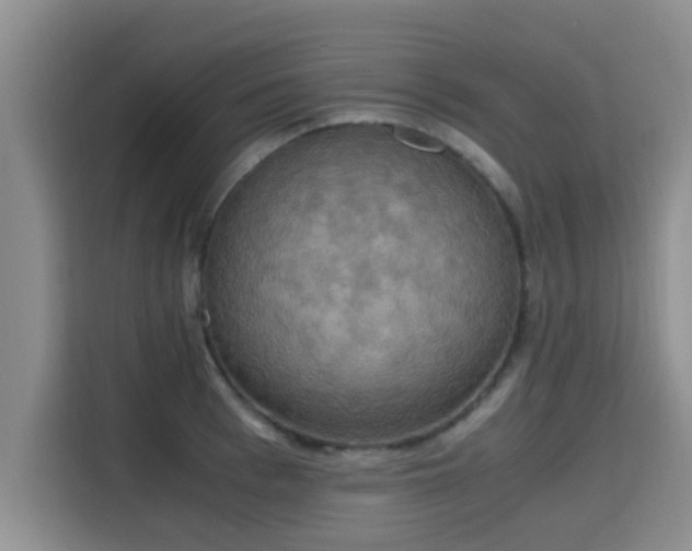 X0000115660993200911191001