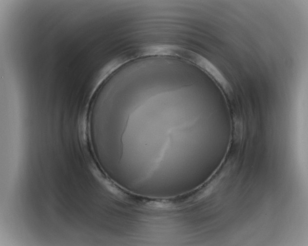 X0000115660994200911191001