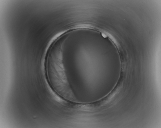 X0000115660995200911191001