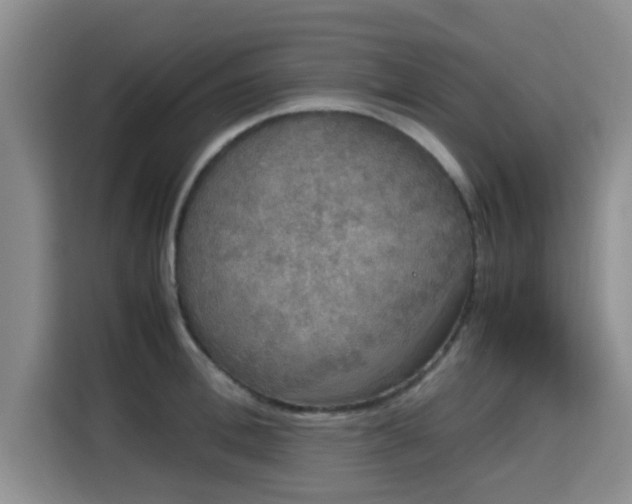 X0000115660996200911191001