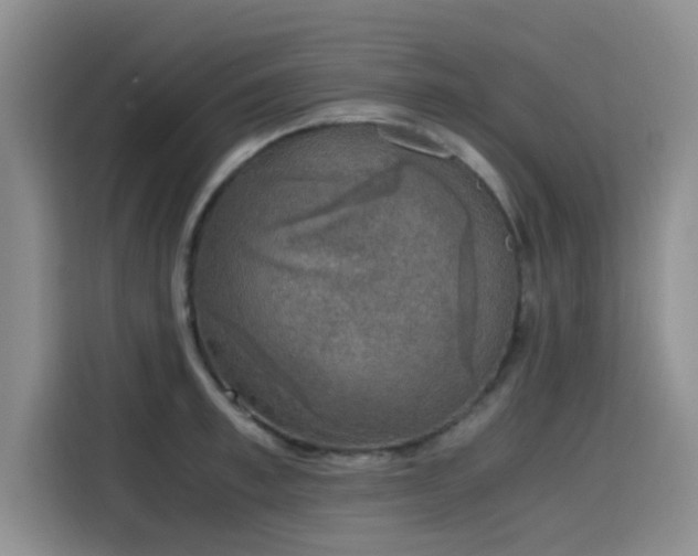 X0000115660997200911191001