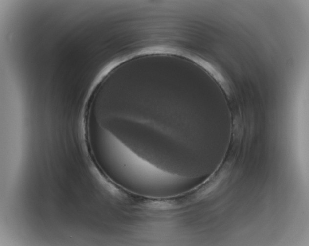 X0000115660998200911191001