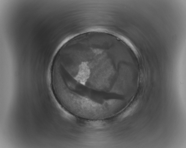 X0000115660999200911191001