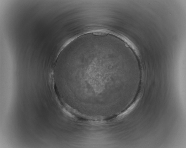 X0000115661001200911191001