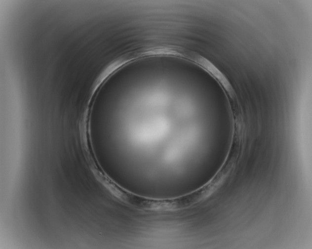 X0000115661002200911191001