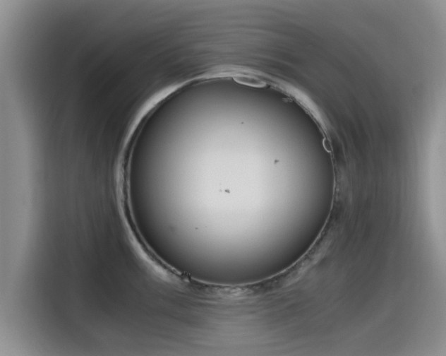 X0000115661003200911191001