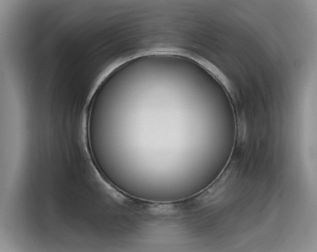 X0000115661006200911191001