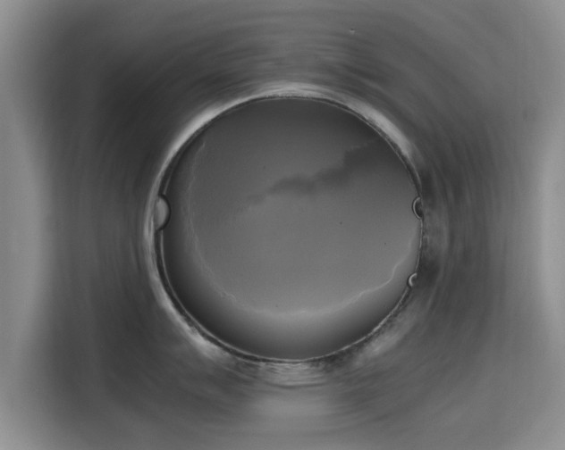 X0000115661007200911191001