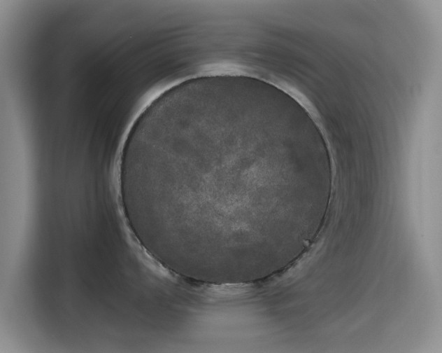 X0000115661008200911191001