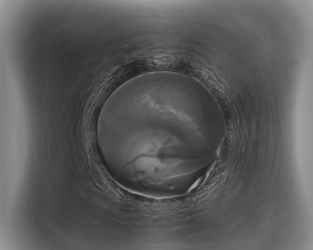 X0000115661009200911191001