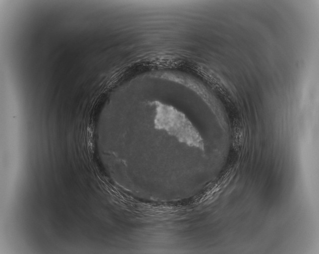 X0000115661010200911191001