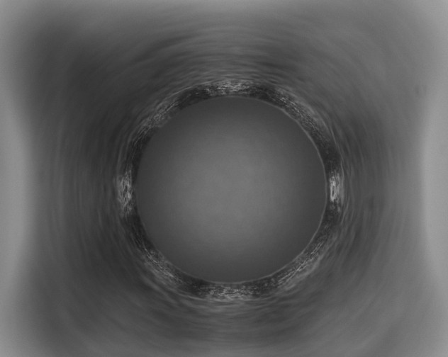 X0000115661011200911191001