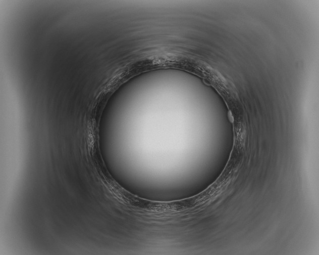X0000115661012200911191001