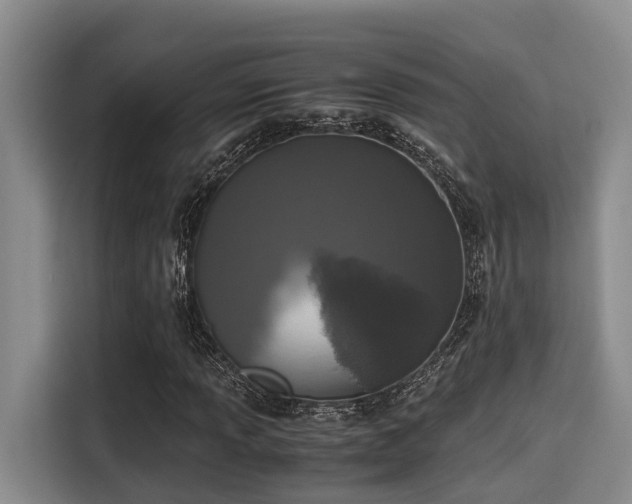 X0000115661013200911191001