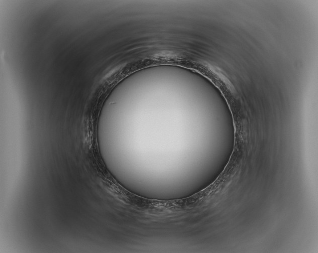 X0000115661015200911191001