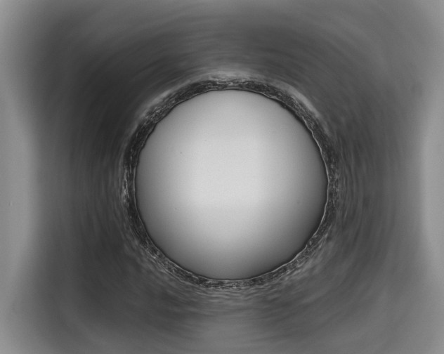 X0000115661016200911191001