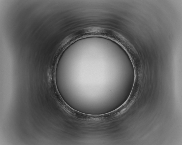 X0000115661017200911191001