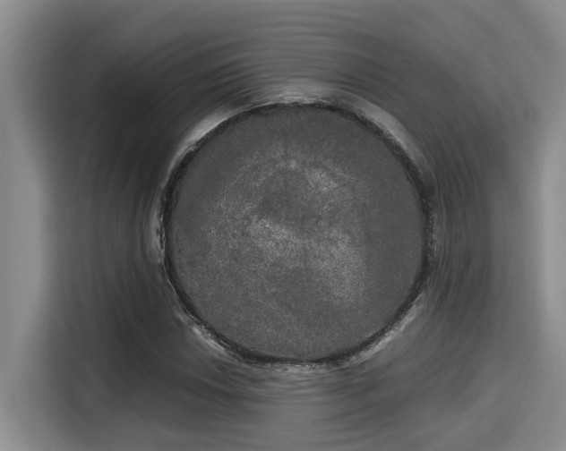 X0000115661018200911191001