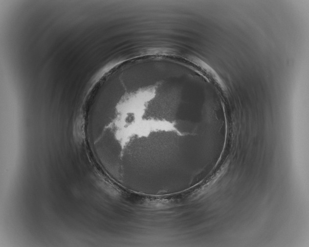 X0000115661019200911191001