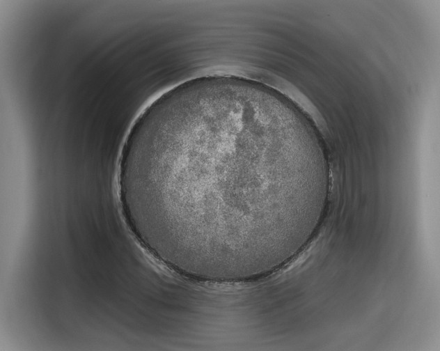 X0000115661020200911191001