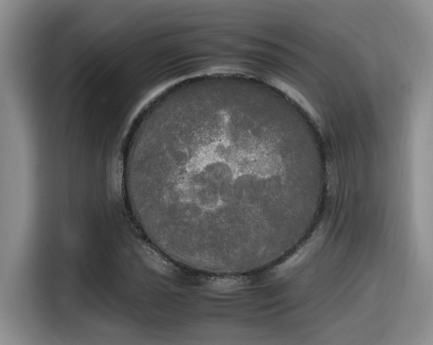 X0000115661021200911191001