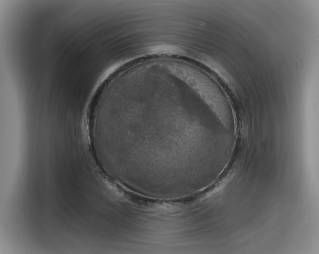 X0000115661022200911191001