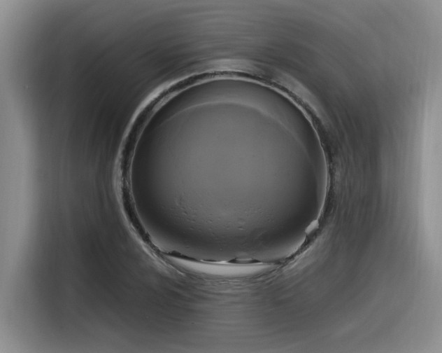 X0000115661024200911191001