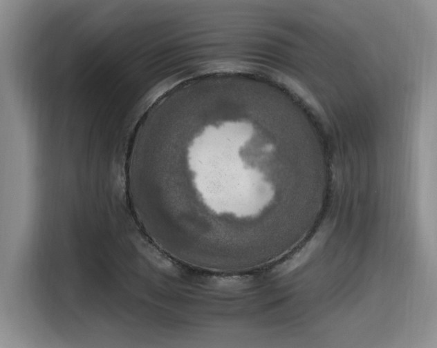 X0000115661025200911191001