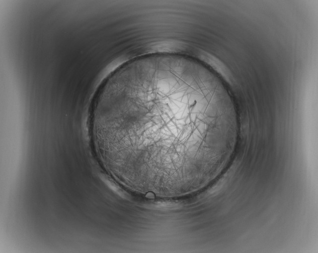 X0000115661026200911191001