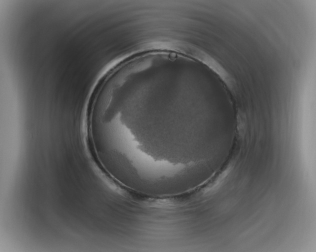 X0000115661028200911191001