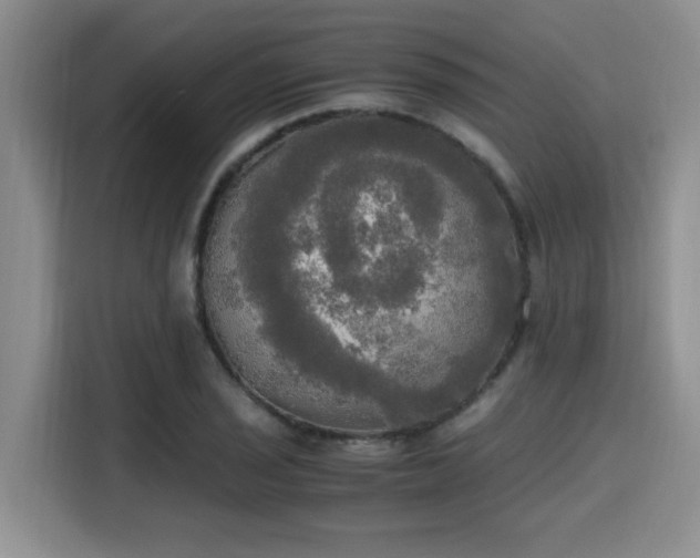 X0000115661029200911191001