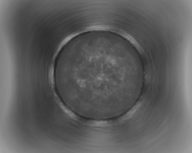 X0000115661030200911191001