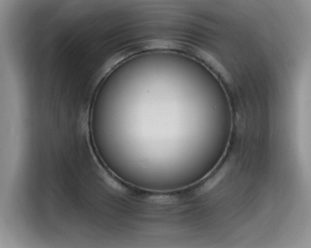X0000115661033200911191001