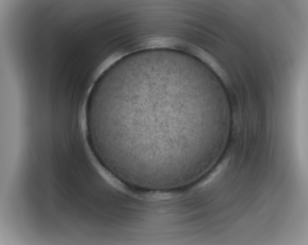 X0000115661034200911191001