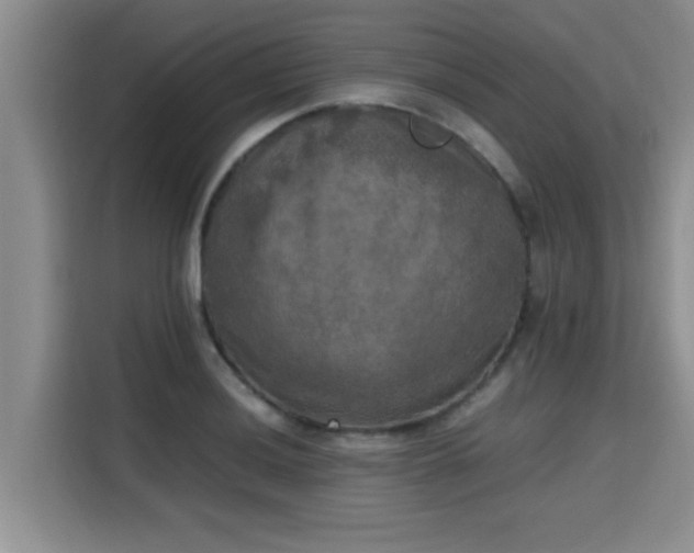 X0000115661036200911191001