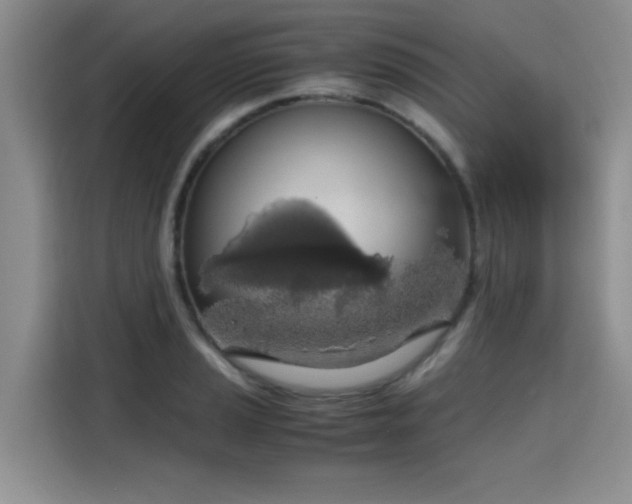 X0000115661037200911191001