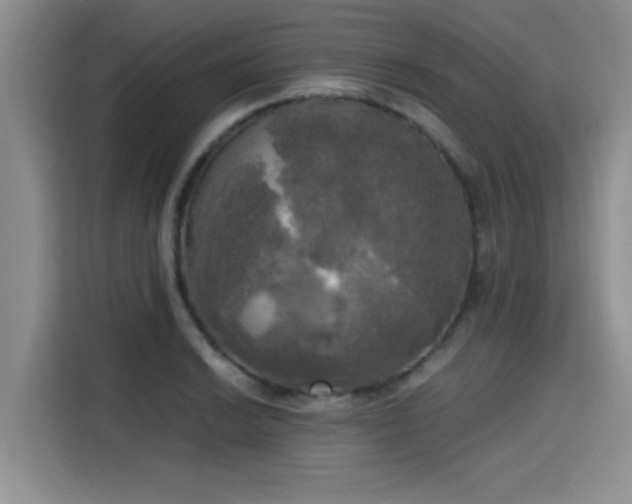 X0000115661038200911191001