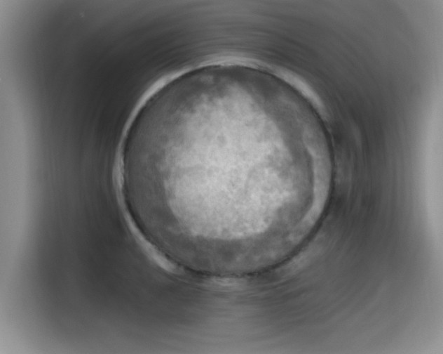 X0000115661040200911191001