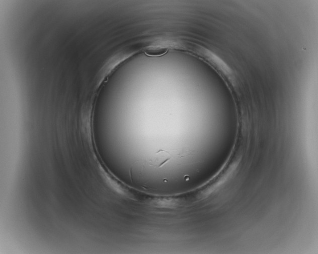 X0000115661041200911191001