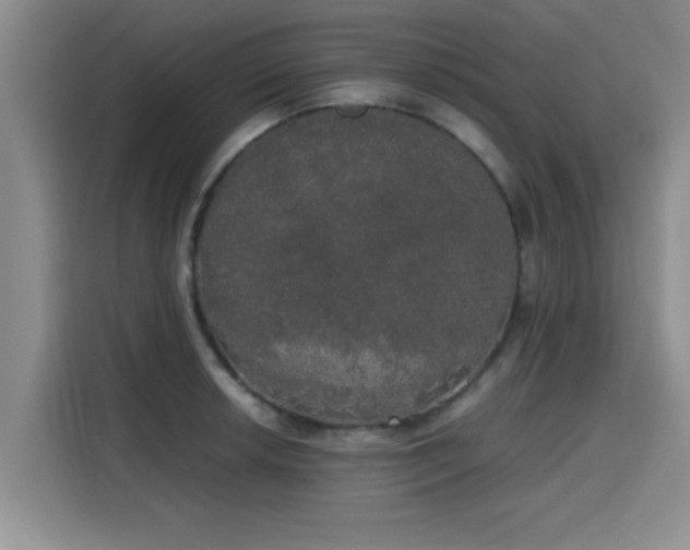 X0000115661042200911191001