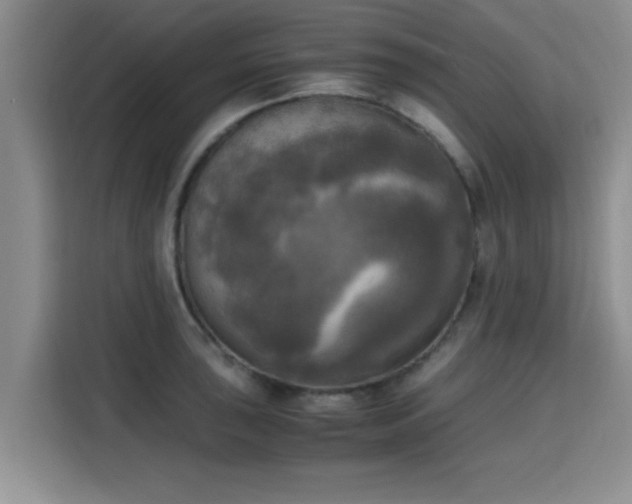 X0000115661043200911191001
