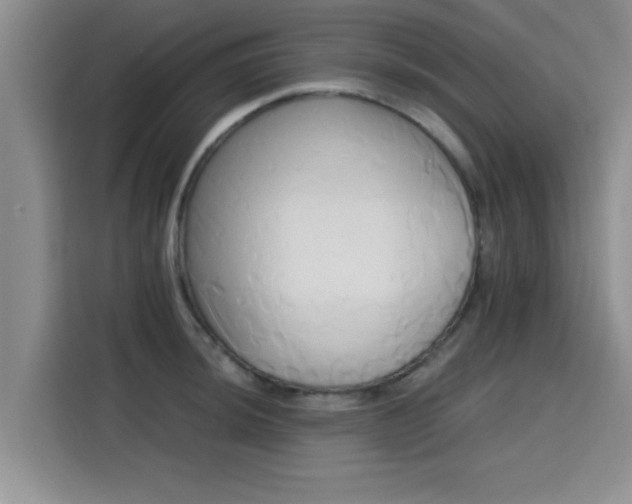 X0000115661044200911191001