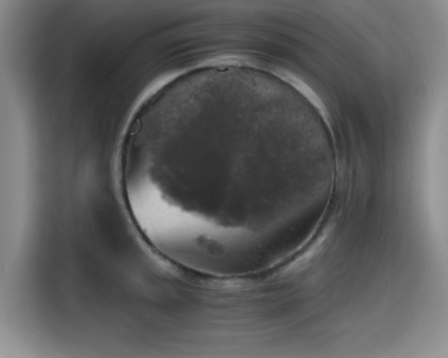 X0000115661045200911191001
