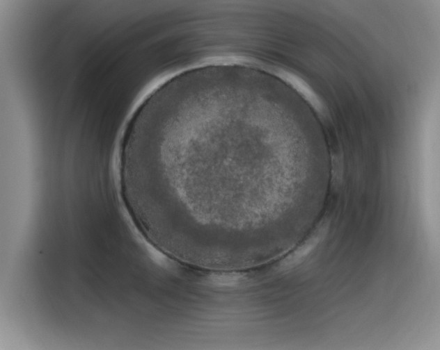 X0000115661046200911191001