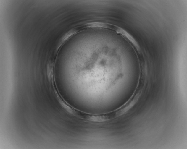 X0000115661049200911191001