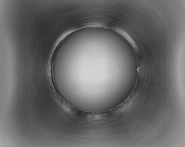 X0000115661051200911191001