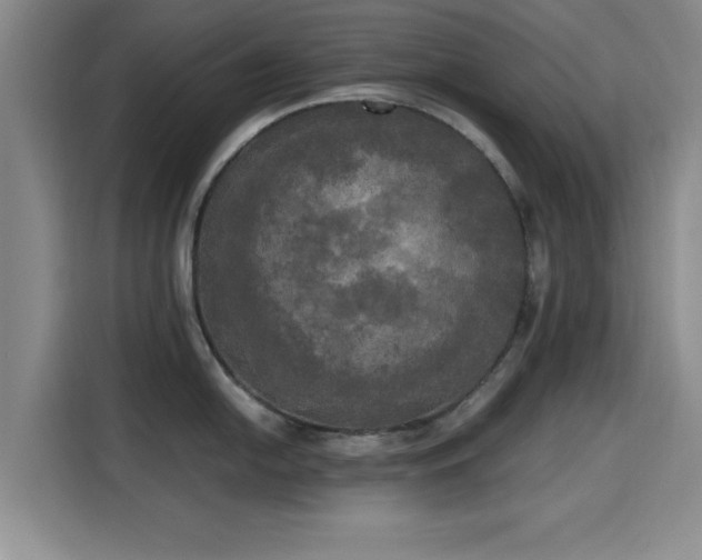 X0000115661054200911191001