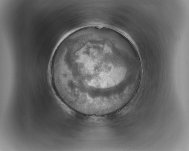 X0000115661056200911191001